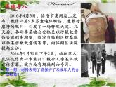 法律为我们护航课件(部编版)