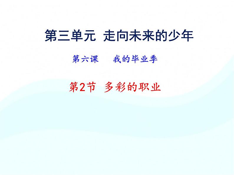 人教版道德与法治九年级下册 6.2 多彩的职业 课件（20张PPT）02