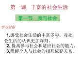 1.1我与社会课件