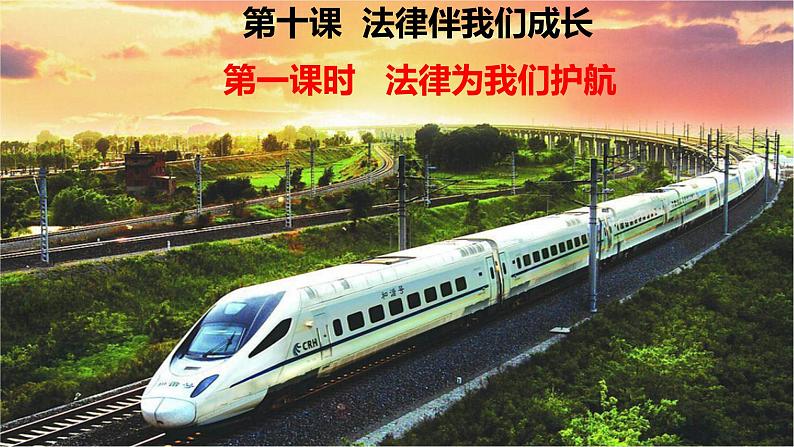 10.1 法律为我们护航 课件02