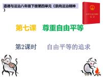 政治思品八年级下册（道德与法治）自由平等的追求课文配套ppt课件