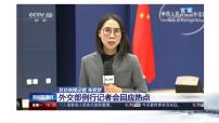 初中政治思品人教部编版八年级下册（道德与法治）第四单元 崇尚法治精神第八课 维护公平正义公平正义的价值课前预习课件ppt