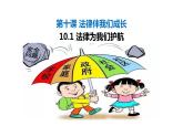 10.1 法律为我们护航 课件