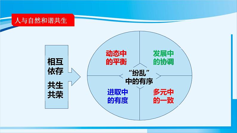 人教版九年级政治上册 第三单元 第六课 6.2 共筑生命家园课件06