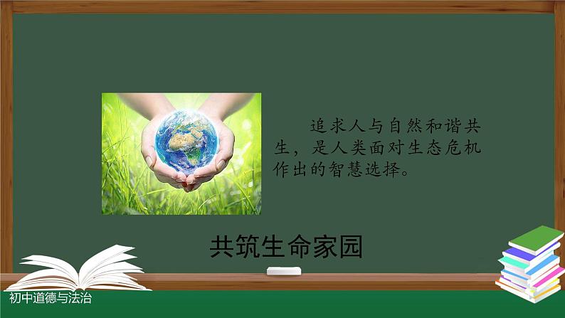 人教版九年级道德与法治上册 6.2  共筑生命家园  课件（46张PPT）04