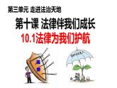 10.1法律为我们护航课件
