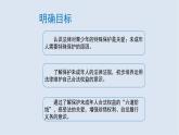 10.1 法律为我们护航 课件