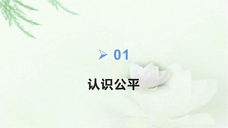 8.1公平正义的价值课件第4页