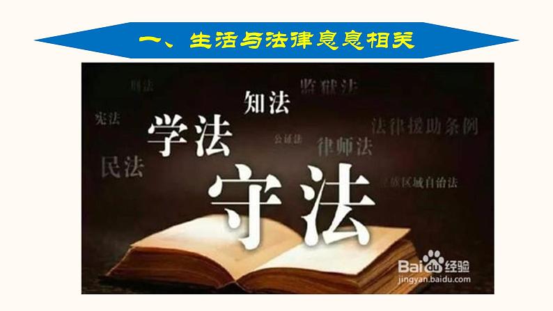 9.1生活需要法律 课件-第4页