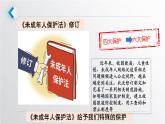 10.1法律为我们护航课件