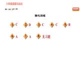 人教版八年级上册道德与法治习题课件 第三单元易错专训