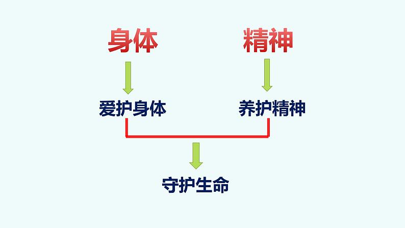 9.1 守护生命 课件+教案- 部编版道德与法治七年级上册（含视频素材）05