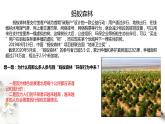 高中地理人教版 (2019) 選擇性必修3　3.3生態(tài)保護與國家安全 課件