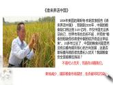 高中地理人教版 (2019) 選擇性必修3　2.3中國的耕地資源和糧食安全 課件