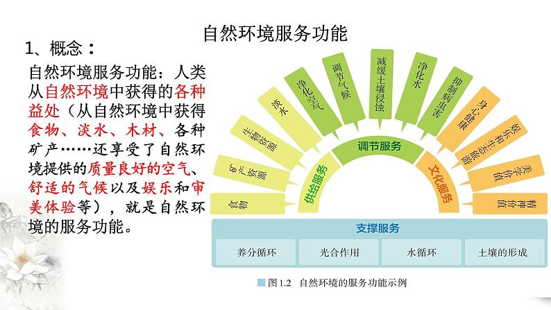 高中地理选择性必修三1.1自然环境的服务功能 课件04