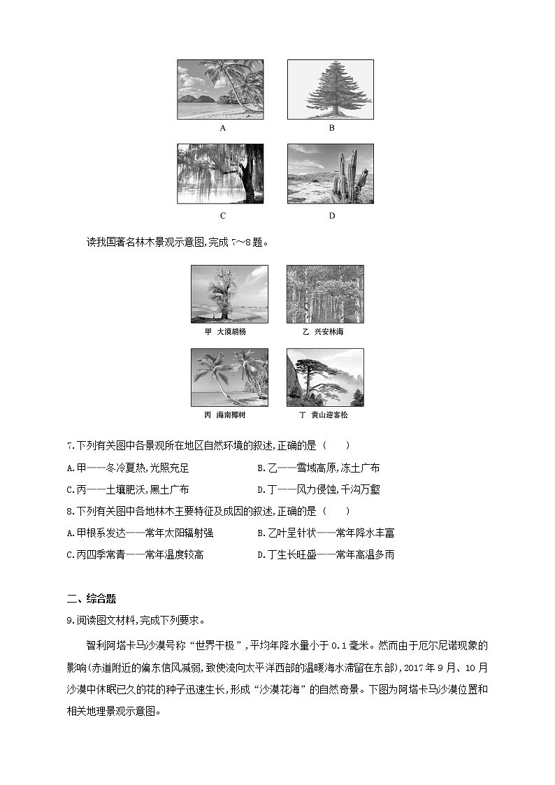 2.3生物圈和植物基础练习【高中地理鲁教版必修第一册（新课标)同步测试】02