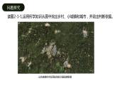 2.1城市内部空间结构（课时1）-【课件】地理同步精品课件（新教材鲁教版必修第二册）