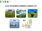 3.1农业的区位选择（课时1）-【课件】地理同步精品课件（新教材鲁教版必修第二册）
