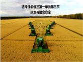 1.3耕地与粮食安全（课件）-地理选择性必修3（新教材鲁教版）