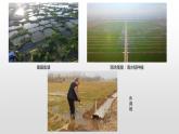 1.3耕地与粮食安全（课件）-地理选择性必修3（新教材鲁教版）