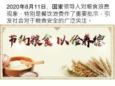 2.1 中国耕地资源与粮食安全 课件 -中图版（2019）高中地理选修3