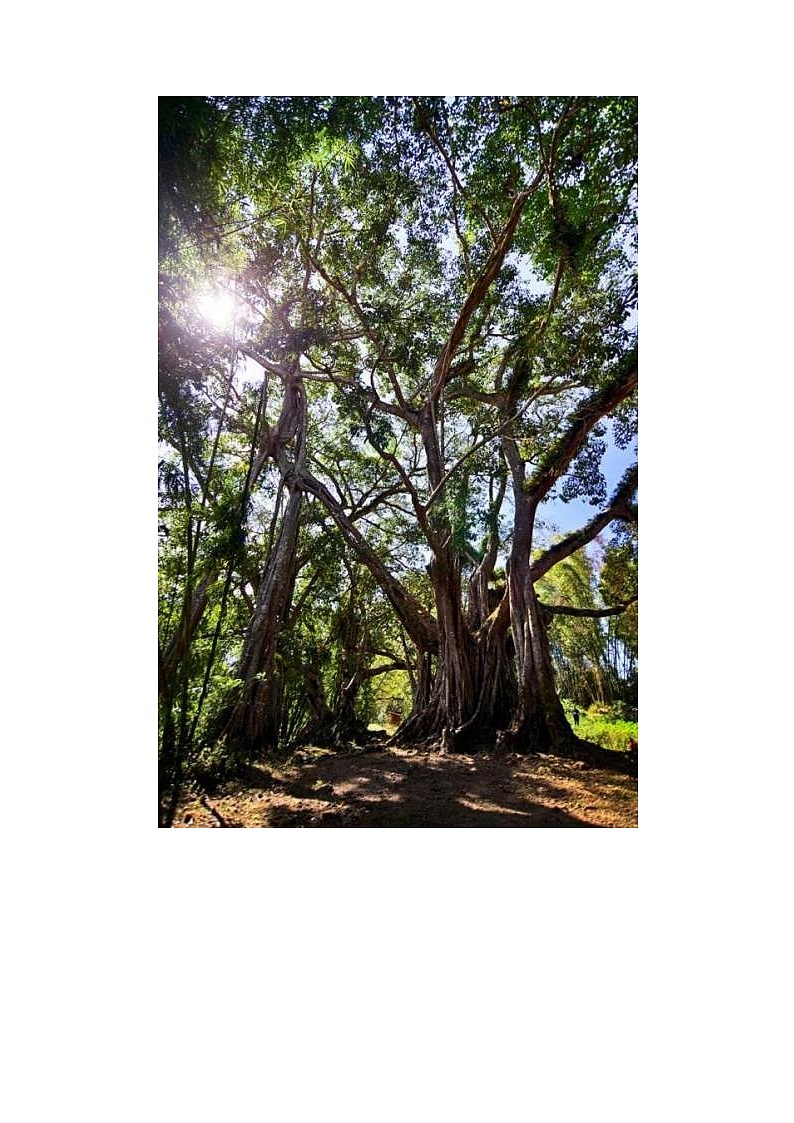 高中地理秘境传奇云南临沧沧源_古老传承秘境寻踪素材03