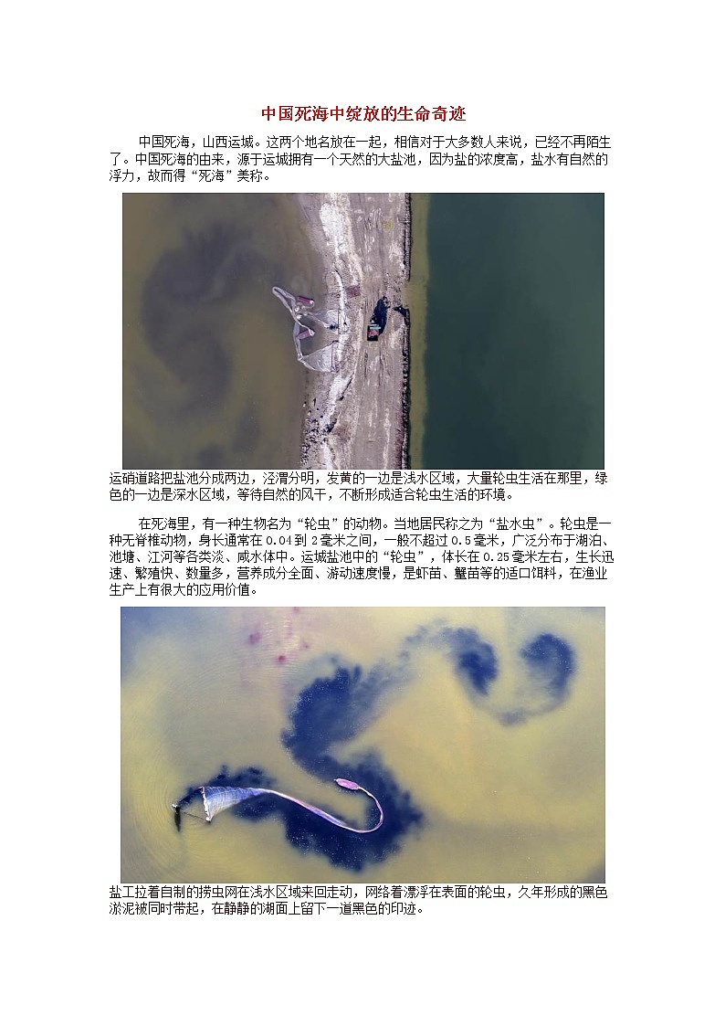 高中地理秘境传奇中国死海中绽放的生命奇迹素材01