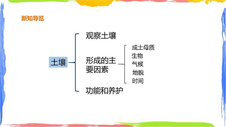 5.2 土壤 （课件+教案）03