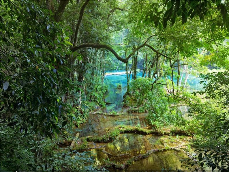 湘教版地理高一必修一第一章《1.3地球运动地理意义--太阳直射点的移动》PPT课件04