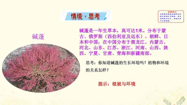 2021_2022学年新教材高中地理第二单元从地球圈层看地表环境第三节生物圈与植被课件鲁教版必修1第2页