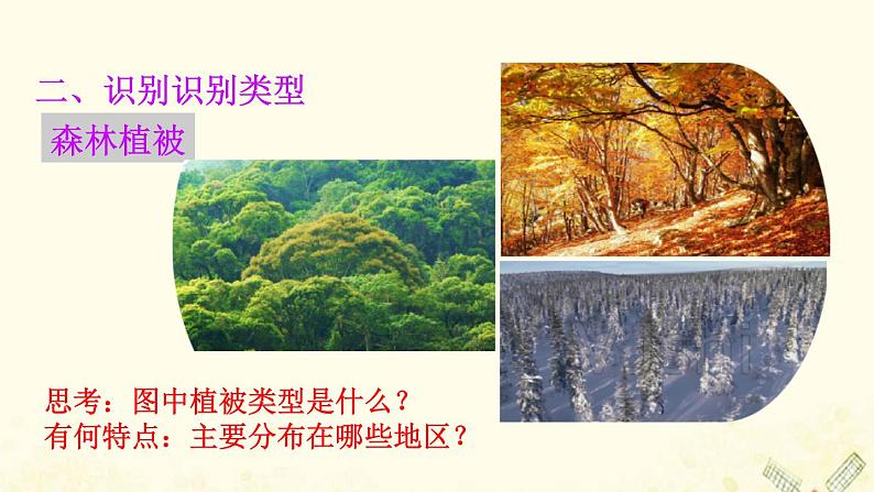 2021_2022学年新教材高中地理第二单元从地球圈层看地表环境第三节生物圈与植被课件鲁教版必修1第6页