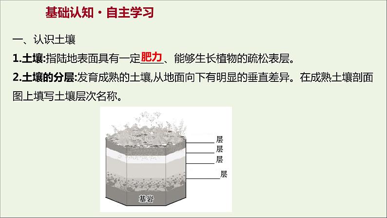 2021_2022学年新教材高中地理第三单元从圈层作用看地貌与土壤第四节分析土壤形成的原因课件鲁教版必修1第3页