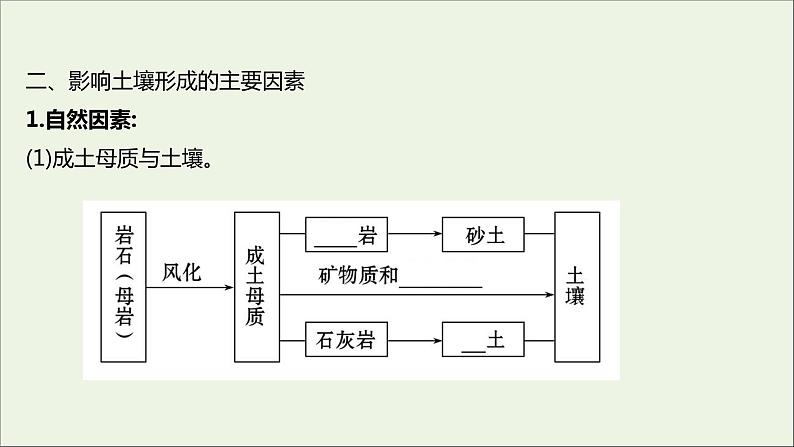 2021_2022学年新教材高中地理第三单元从圈层作用看地貌与土壤第四节分析土壤形成的原因课件鲁教版必修1第5页