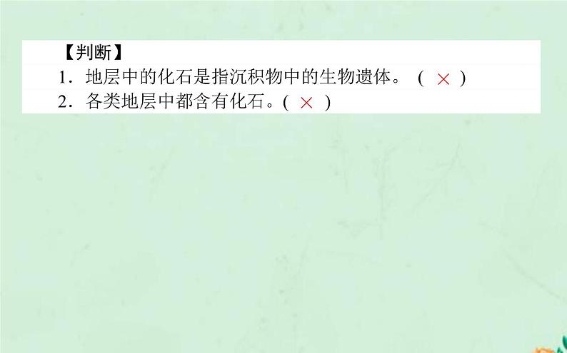 2021_2022学年新教材高中地理第一章宇宙中的地球第三节地球的历史课件新人教版必修第一册第6页