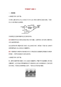 高考地理一轮复习考点规范练42环境保护选修6含解析新人教版