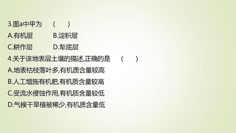 2021-2022学年高中地理新人教版必修第一册 ：课时练习 5.2 土　壤 课件（28张）06