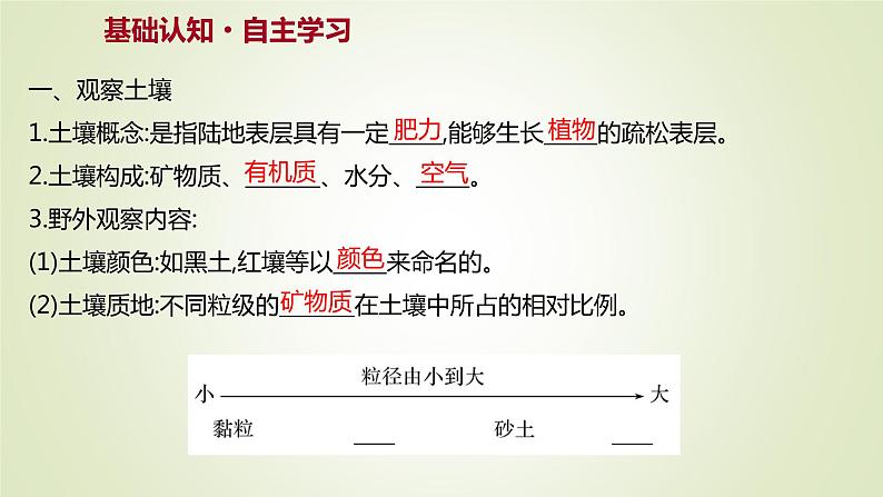 2021-2022学年高中地理新人教版必修第一册 第五章 第二节 土 壤 课件（71张）03