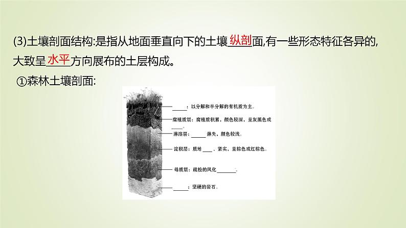 2021-2022学年高中地理新人教版必修第一册 第五章 第二节 土 壤 课件（71张）04