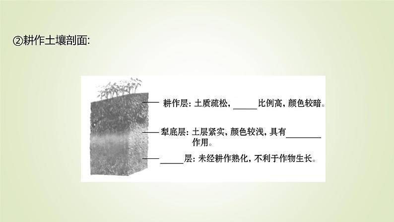 2021-2022学年高中地理新人教版必修第一册 第五章 第二节 土 壤 课件（71张）05