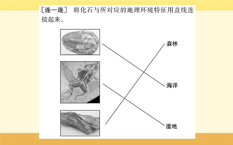 新教材2022版人教版地理必修第一册课件：第一章+第三节+地球的历史+04