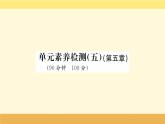 新教材2022版人教版地理必修第一册课件：第五章+植被与土壤+阶段复习课+