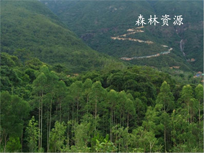 高中地理必修一课件-4.3自然资源与人类活动6-湘教版第3页