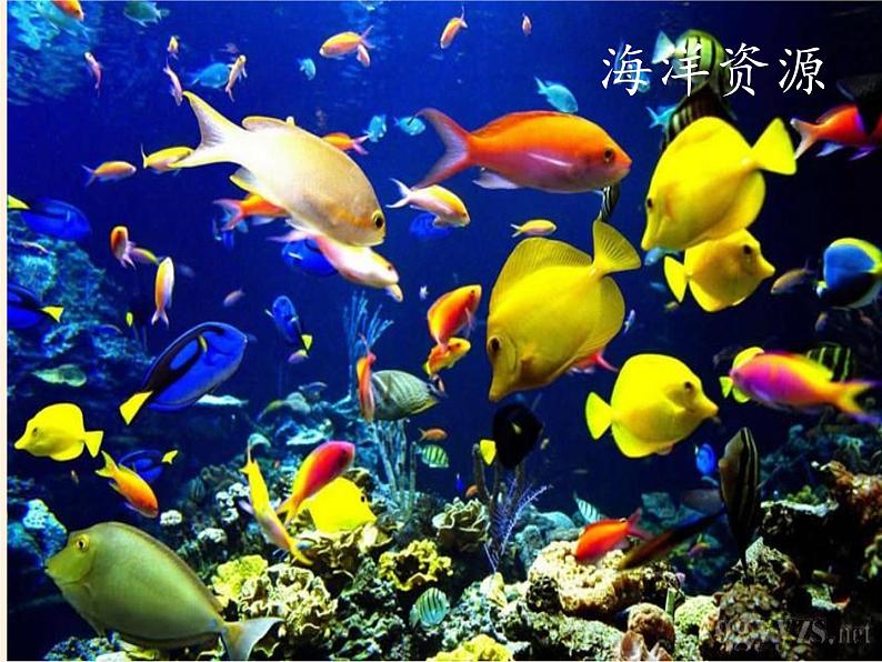 高中地理必修一课件-4.3自然资源与人类活动6-湘教版第4页