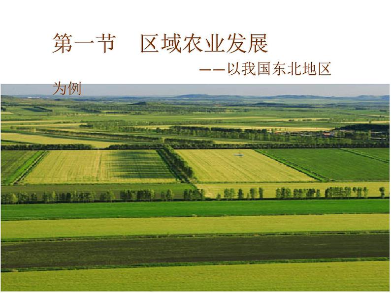 高中地理必修三课件-4.1 区域农业发展——以我国东北地区为例（4）-人教版01