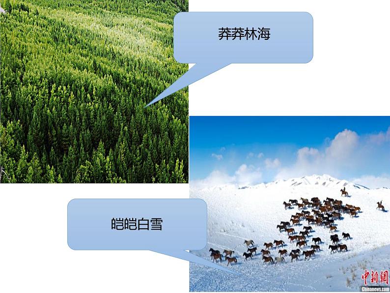 高中地理必修三课件-4.1 区域农业发展——以我国东北地区为例（4）-人教版03