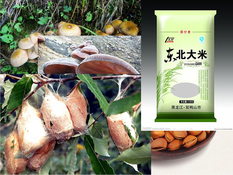 高中地理必修三课件-4.1 区域农业发展——以我国东北地区为例（4）-人教版04