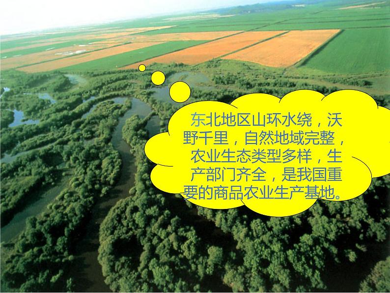 高中地理必修三课件-4.1 区域农业发展——以我国东北地区为例（4）-人教版05