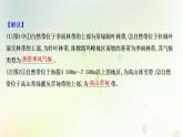 高考地理一轮复习图表解读突破6垂直自然带谱图的判读课件新人教版