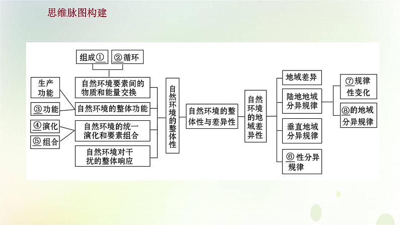 2021_2022学年新教材高中地理第五章自然环境的整体性与差异性单元复习课课件新人教版选择性必修第一册第2页