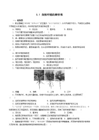 地理人教版 (2019)第一节 自然环境的整体性复习练习题